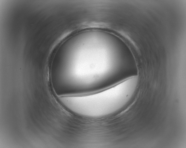 X0000069361317200605120906