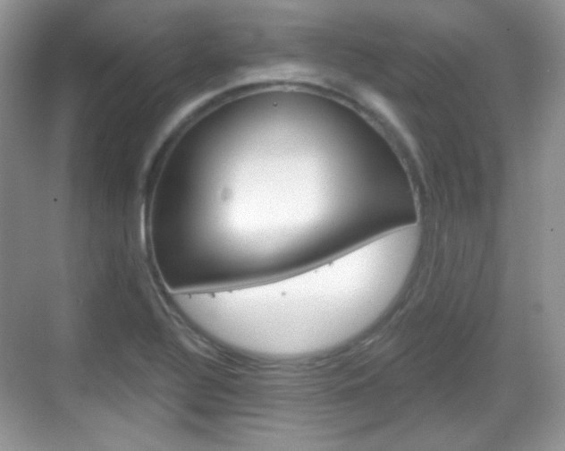 X0000069361320200605120906