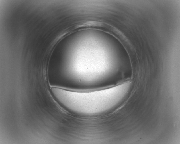 X0000069361321200605120906