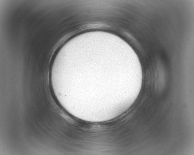 X0000069361322200605120906