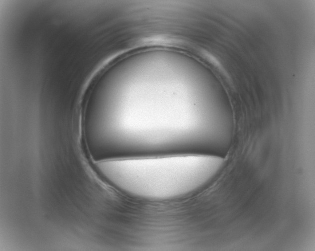 X0000069361323200605120906