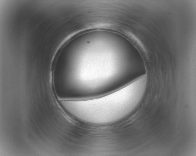 X0000069361324200605120906