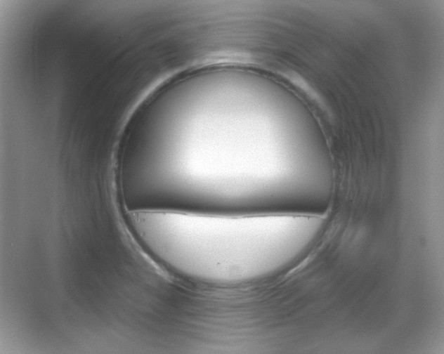 X0000069361325200605120906