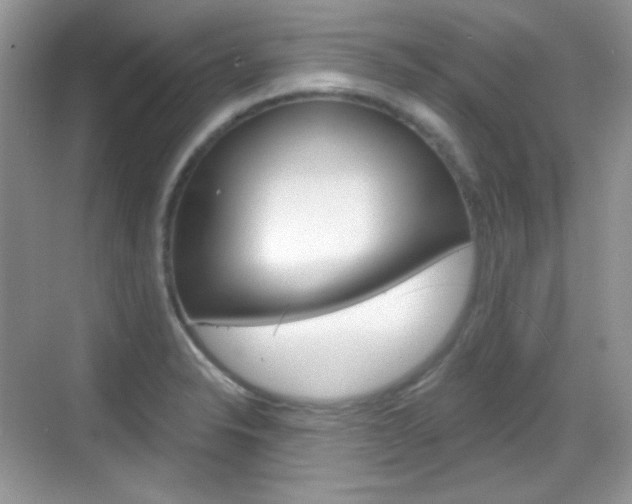 X0000069361326200605120906