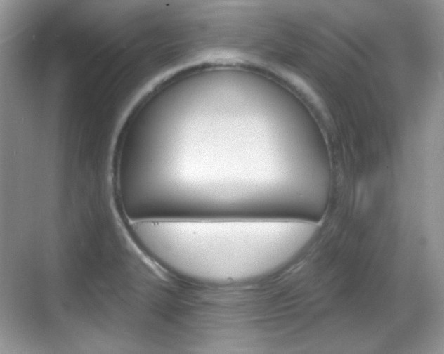 X0000069361327200605120906