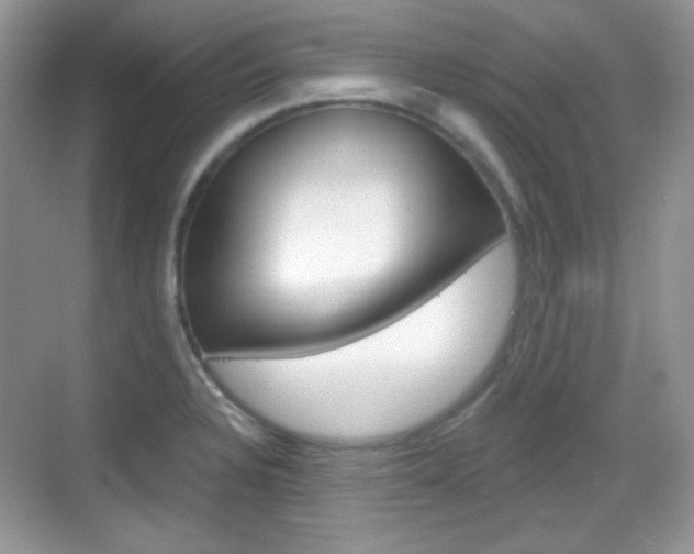 X0000069361328200605120906