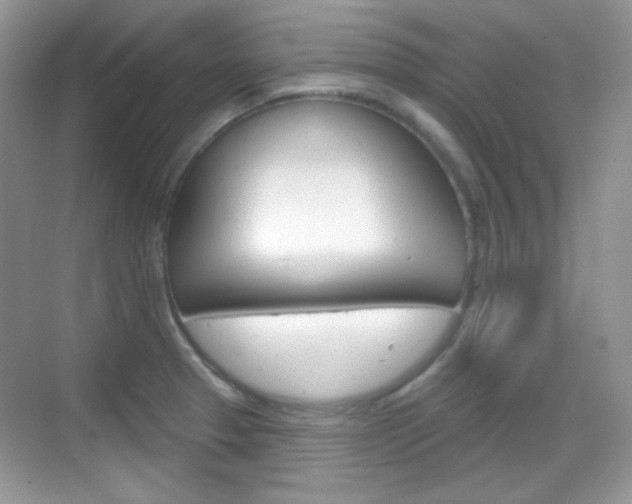 X0000069361329200605120906