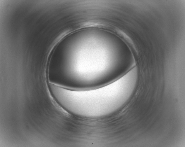 X0000069361330200605120906