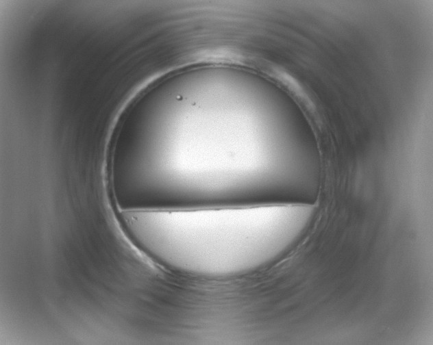 X0000069361331200605120906