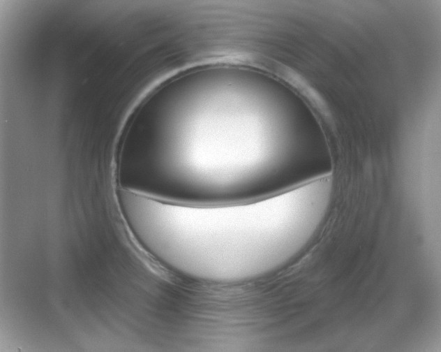 X0000069361332200605120906