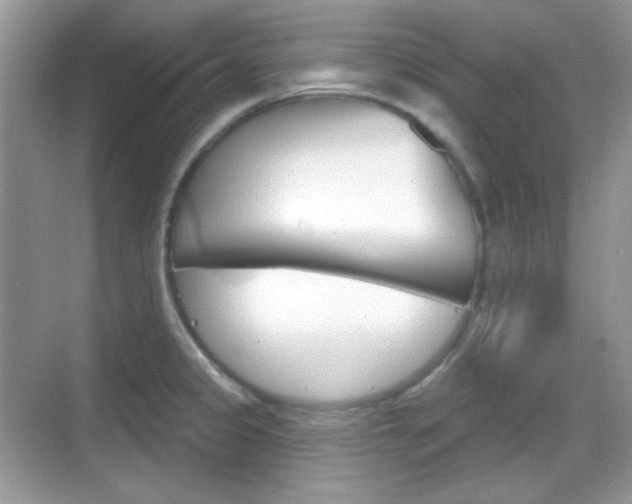 X0000069361333200605120906