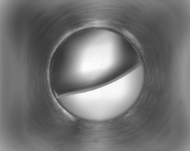 X0000069361334200605120906