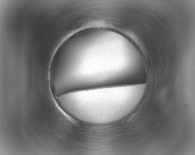 X0000069361335200605120906