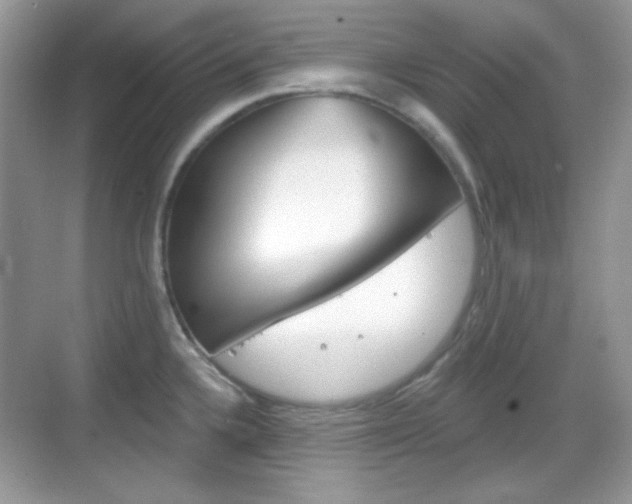 X0000069361336200605120906