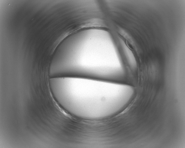 X0000069361337200605120906