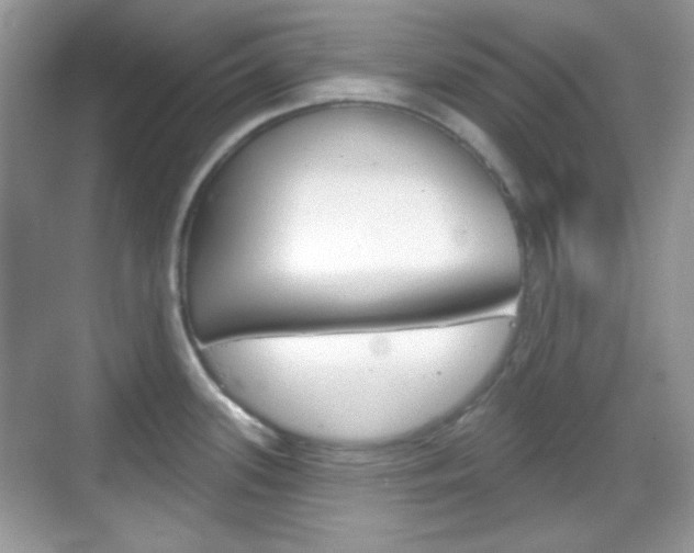 X0000069361339200605120906