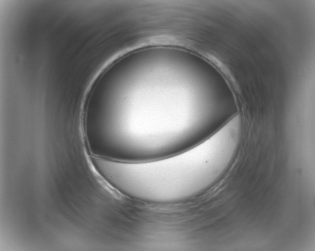 X0000069361342200605120906