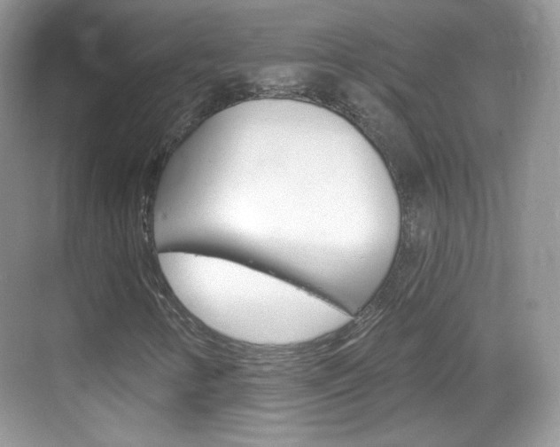 X0000069361346200605120906