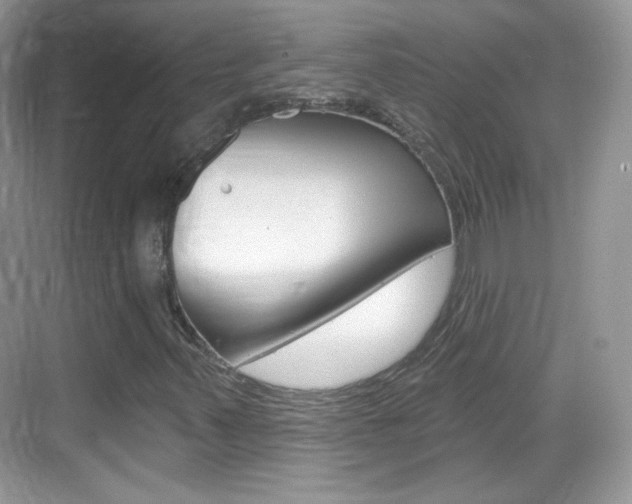 X0000069361347200605120906