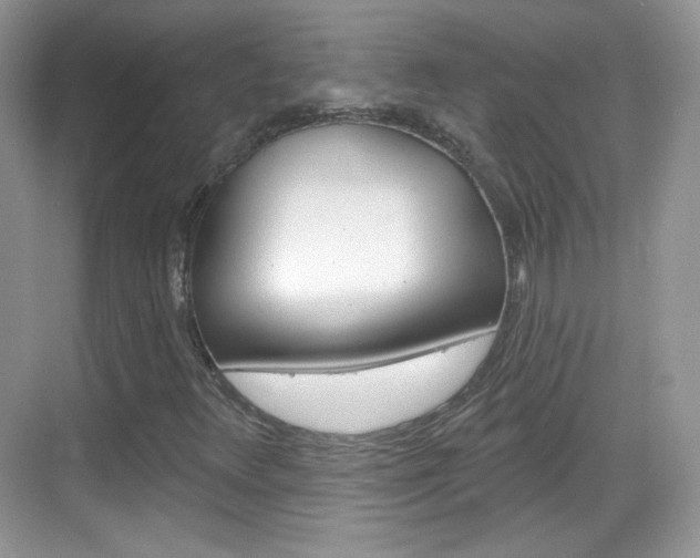 X0000069361348200605120906