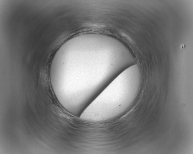 X0000069361354200605120906