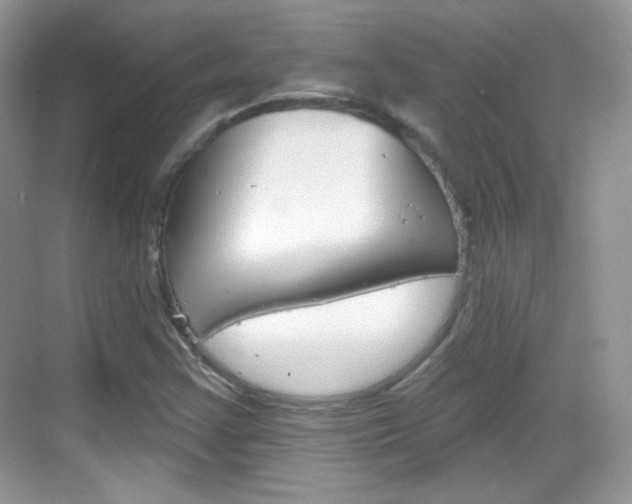 X0000069361355200605120906