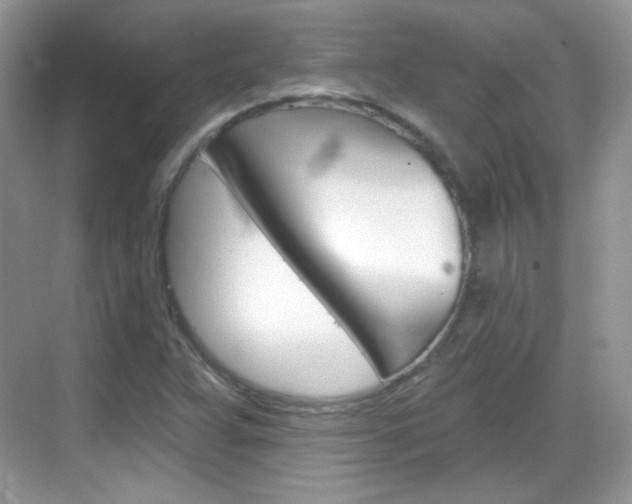 X0000069361359200605120905