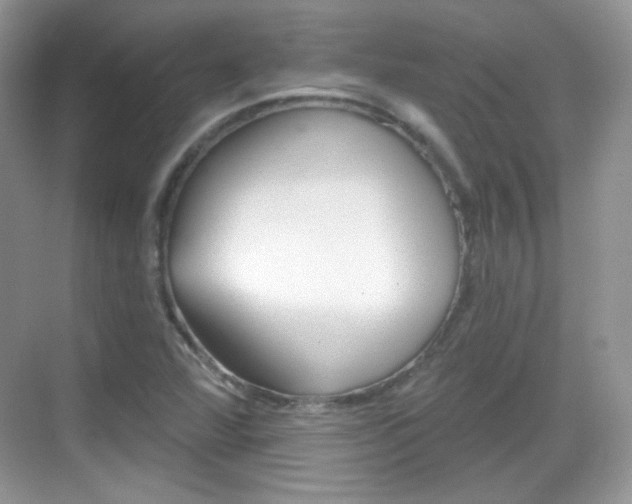 X0000069361360200605120905