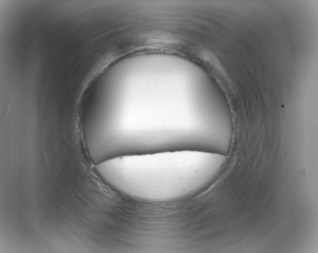 X0000069361362200605120905