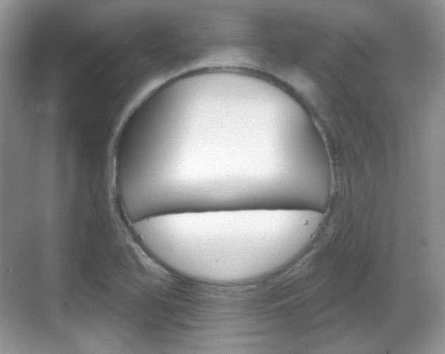 X0000069361366200605120905