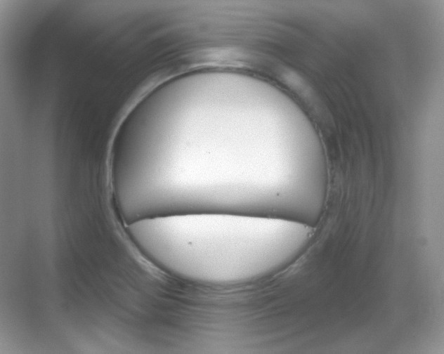 X0000069361370200605120905