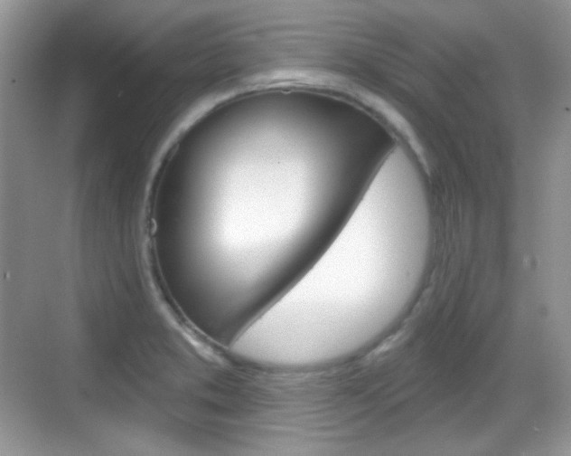 X0000069361373200605120905