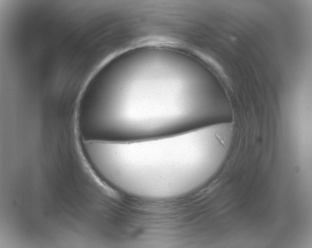 X0000069361375200605120905