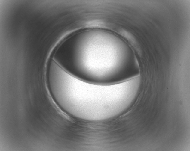 X0000069361376200605120905