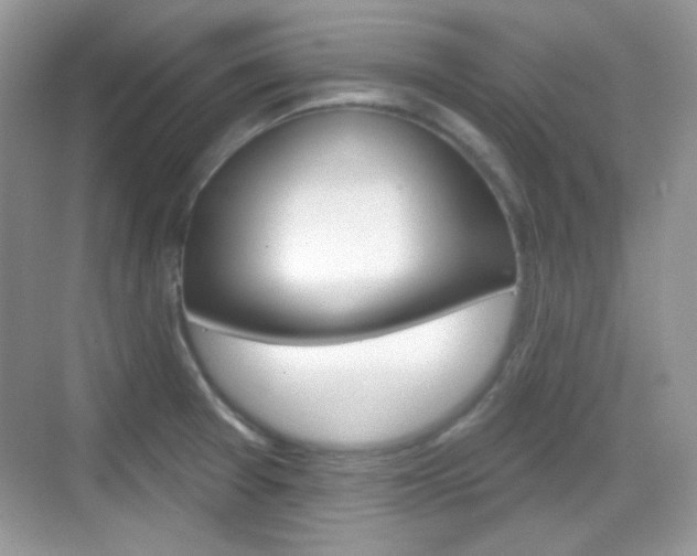 X0000069361377200605120905
