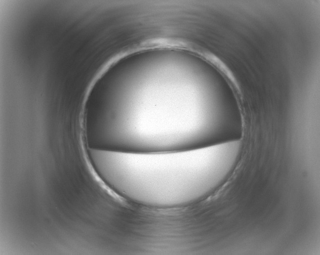 X0000069361381200605120905