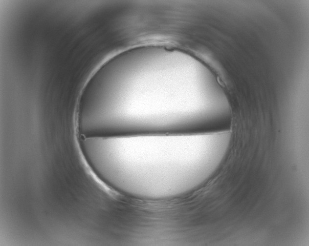 X0000069361383200605120905