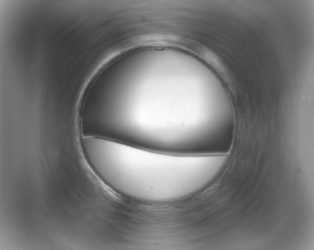 X0000069361384200605120905