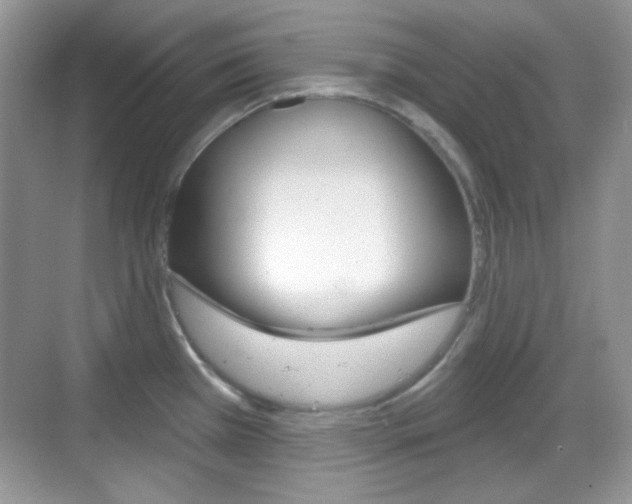 X0000069361385200605120905