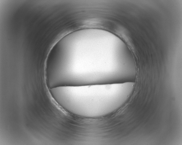 X0000069361386200605120905