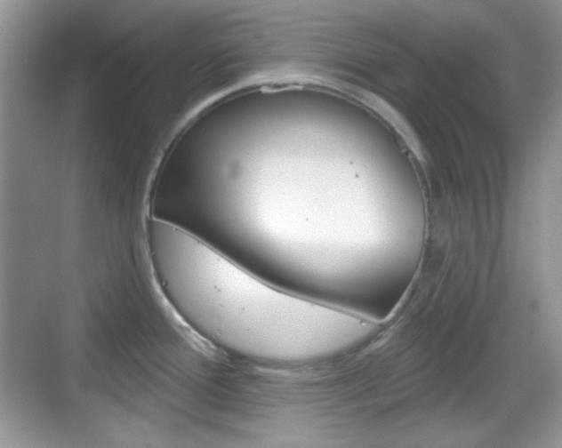 X0000069361388200605120905