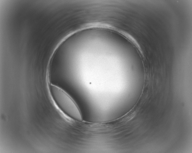 X0000069361391200605120905