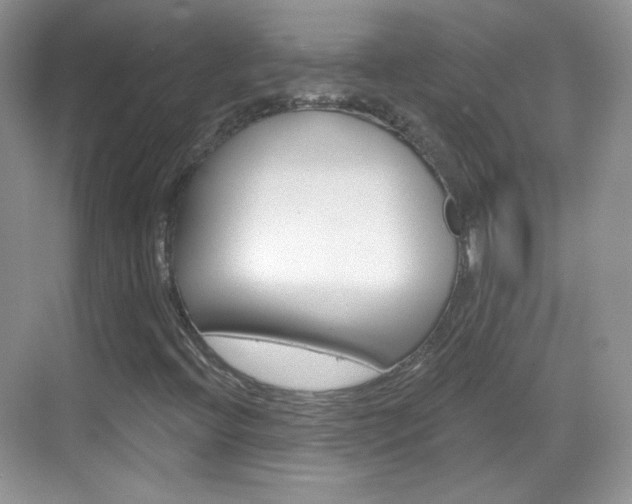 X0000069361396200605120904