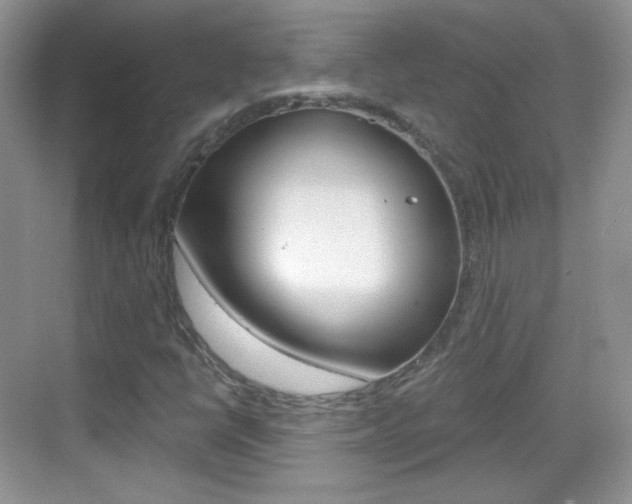 X0000069361398200605120904