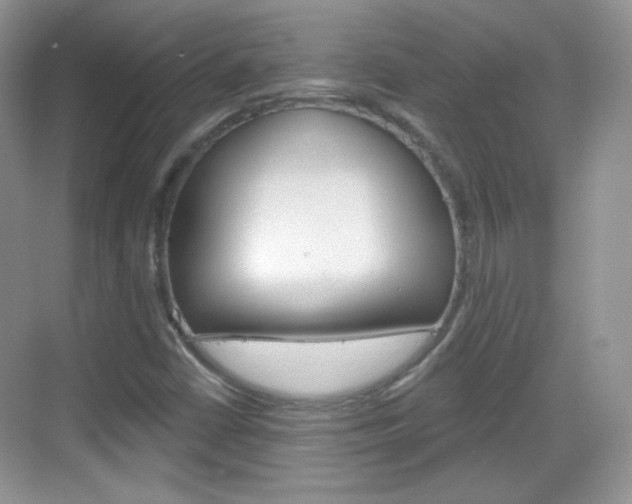 X0000069361402200605120904