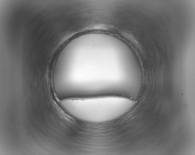 X0000069361404200605120904