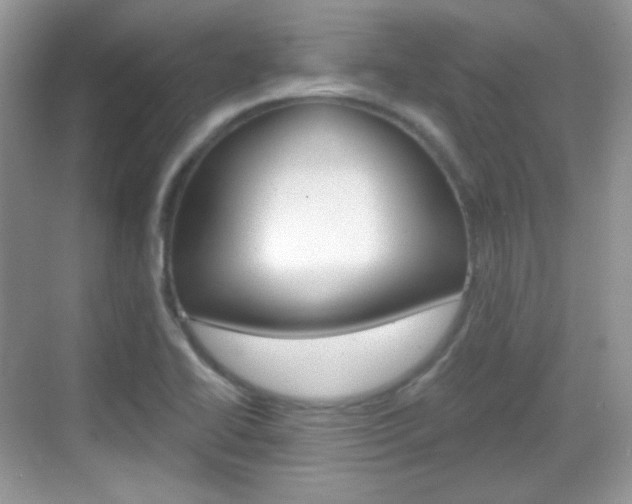 X0000069361414200605120904