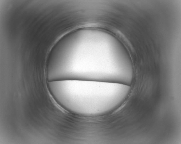 X0000069361417200605120904