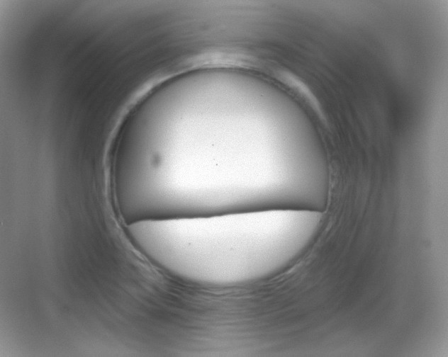 X0000069361419200605120905