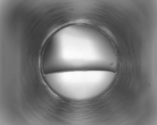 X0000069361420200605120905